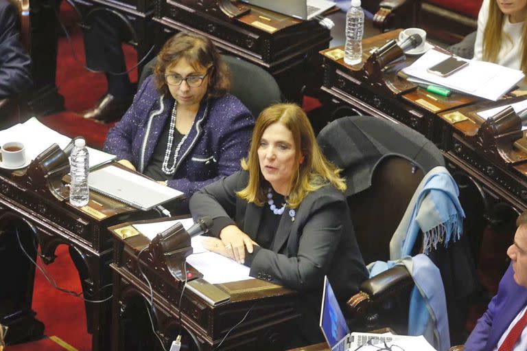 Debate por el aborto Bossio Camaño, Carmen polledo, PRO caba , Silvia Martínez UCR Jujuy Mayra Mendoza