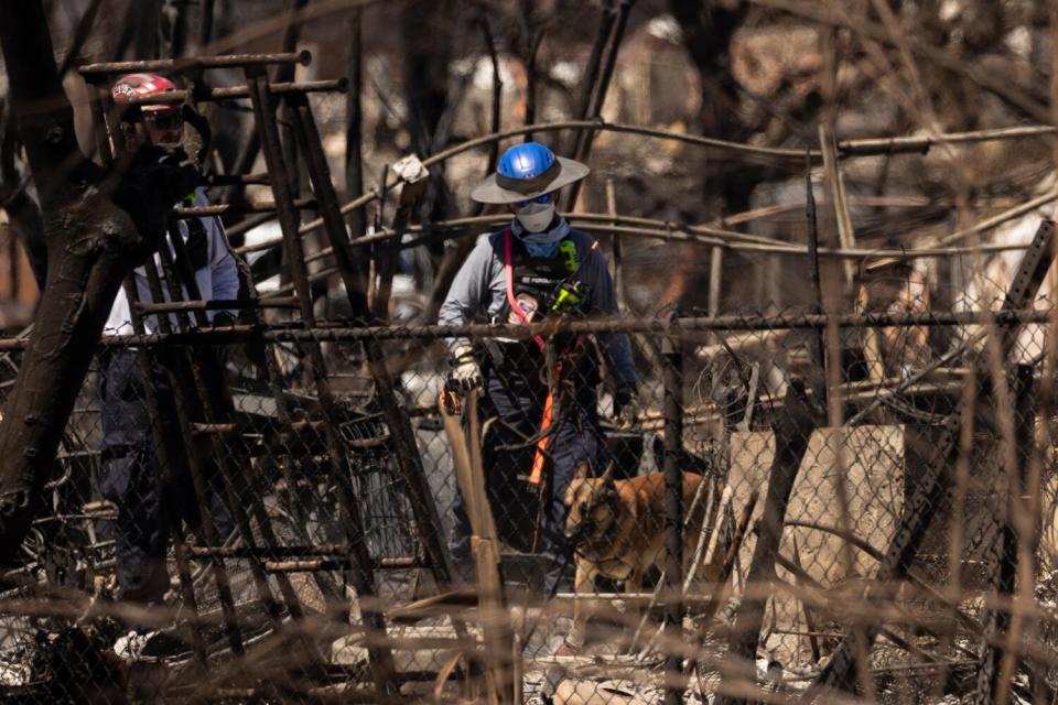 Search and recovery team members, accompanied by cadaver dogs, check charred buildings and cars.