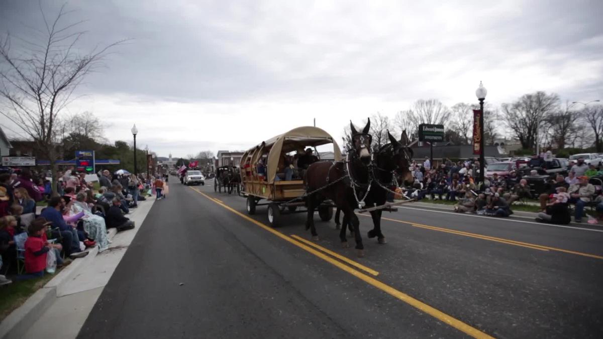 Watch Mule Day Parade returns to Columbia