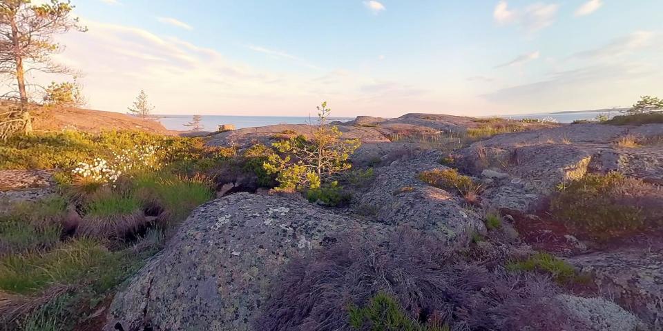 A rocky landscape looks out over the water with a tree on the left in sunset.