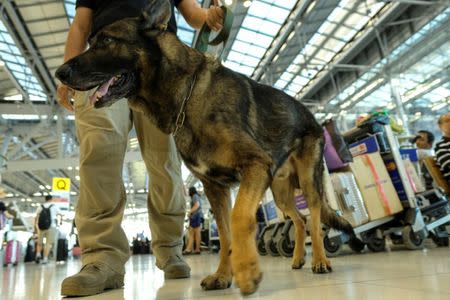 A Thai soldier patrols with his dog inside Suvarnabhumi International Airport during the Christmas and New Year holidays in Bangkok, Thailand, December 23, 2016. REUTERS/Athit Perawongmetha