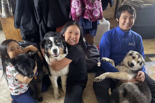 Golden Retriever Puppy Training to Be Avalanche Rescue Dog in Alaska