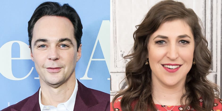 'big bang theory' cast members mayim bialik and jim parsons