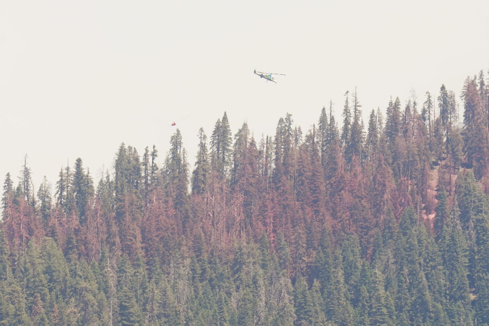 Seen from State Route 41, smoke rises from the Washburn Fire burning in Yosemite National Park, Calif., Tuesday, July 12, 2022. (AP Photo/Godofredo A. Vásquez)