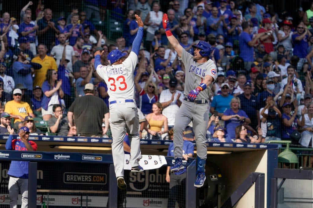 CACHORROS-CERVECEROS (AP)