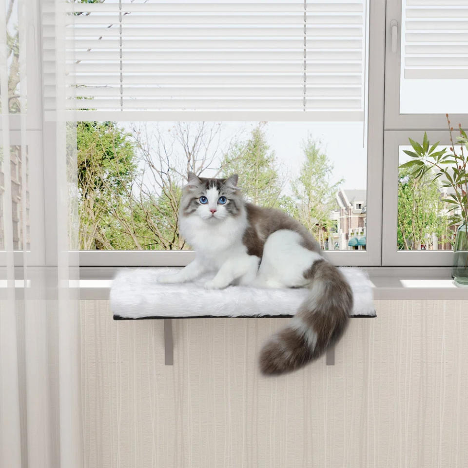 A fluffy white and gray cat with blue eyes sits on the mat next to a window