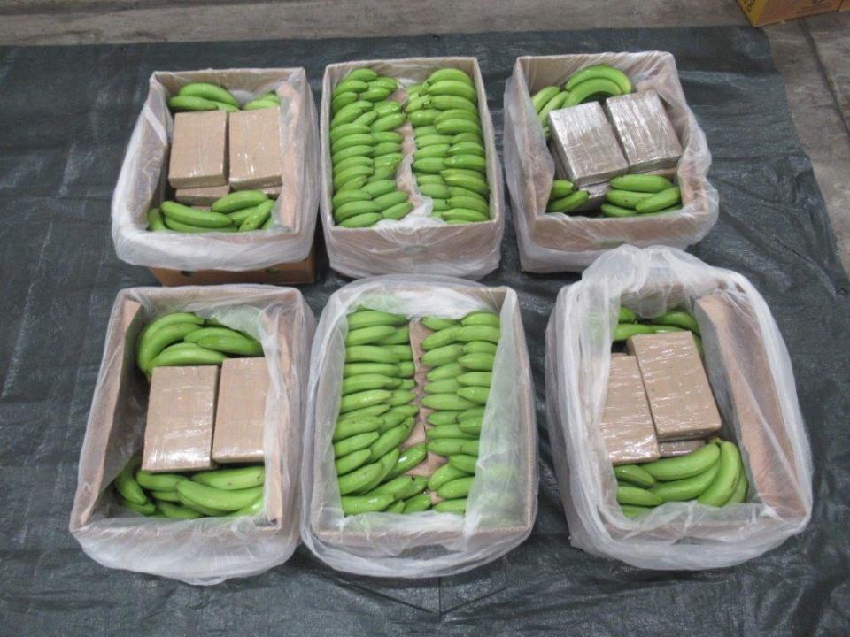 The National Crime Agency said that 5.7 tons of cocaine were found in a container of bananas at the port of Southampton on Feb. 8, 2024. / Credit: National Crime Agency