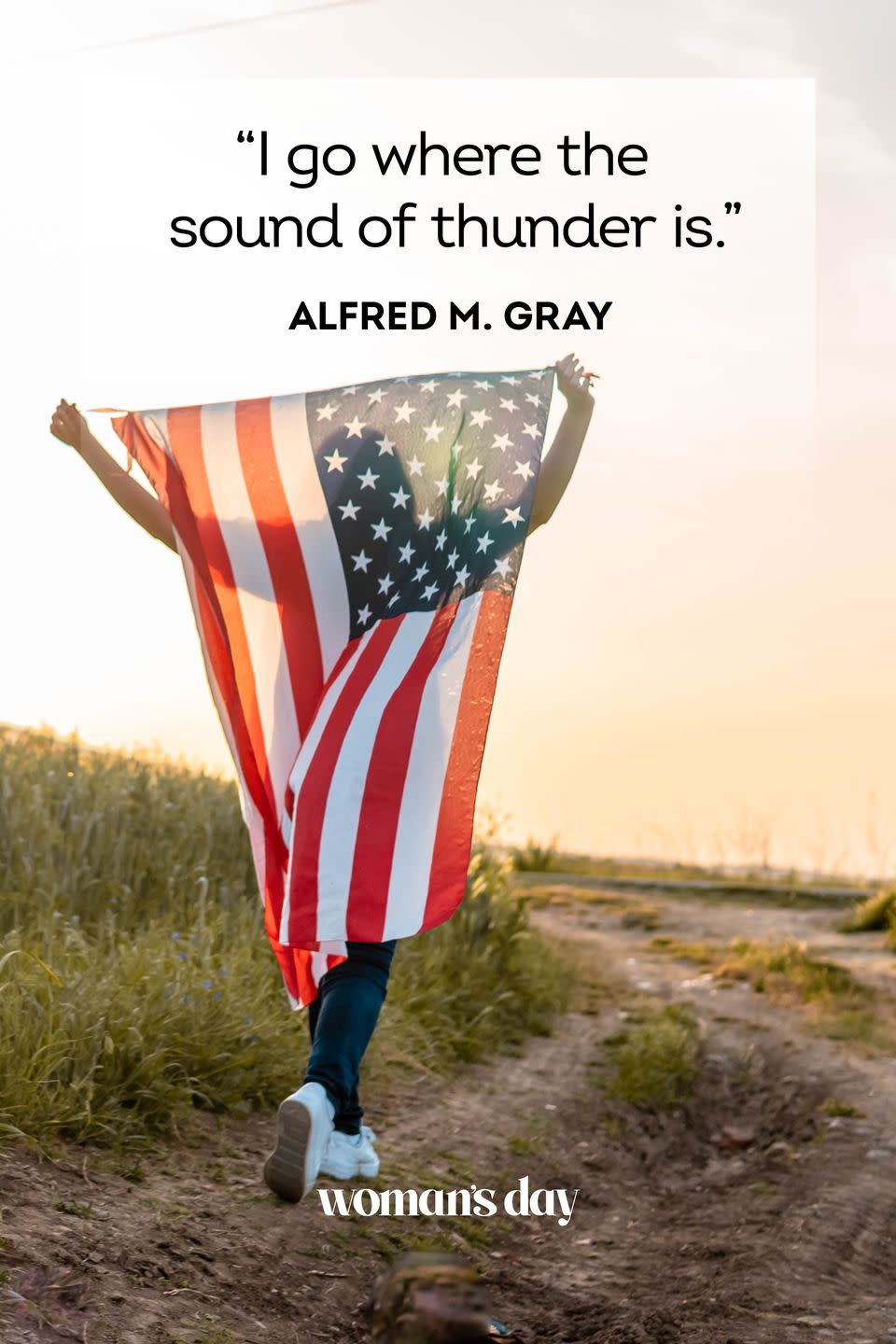 veterans day quotes alfred m gray
