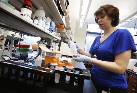 Molecular Genetics Technical Specialist Jaime Wendt works in the Human and Molecular Genetics Center Sequencing Core at the Medical College of Wisconsin in Milwaukee May 9, 2014. REUTERS/Jim Young