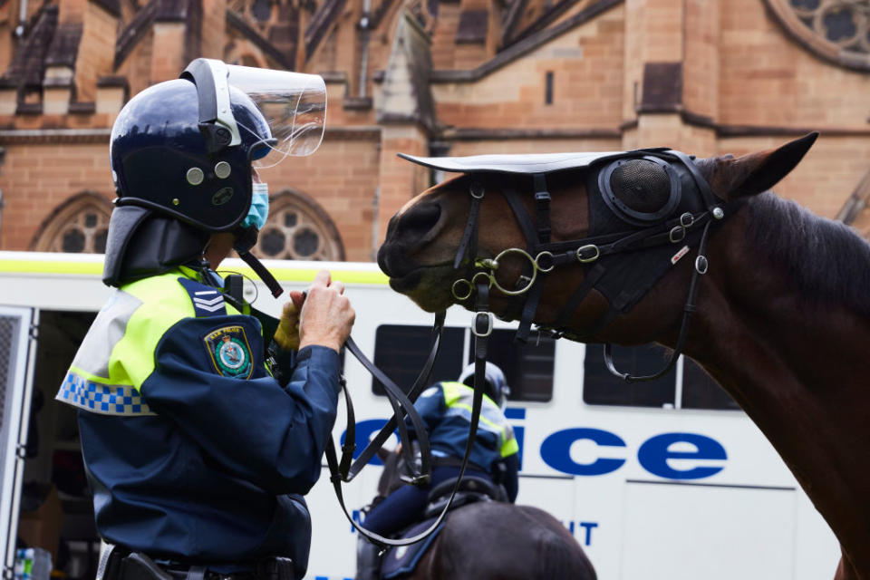 Police horse Tobruk, of the Mounted Unit of NSW Police Force is seen on patrol in Hyde Park.