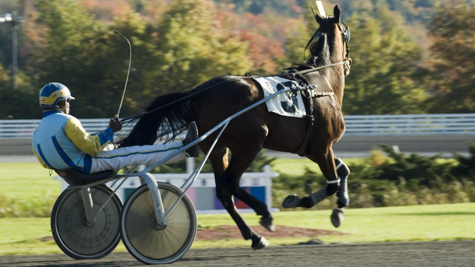 A young girl has been injured at a Queensland harness racing track. Source: Getty Images, file image