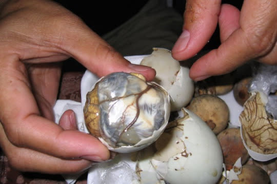 Balut (Philippines and other Asian countries)