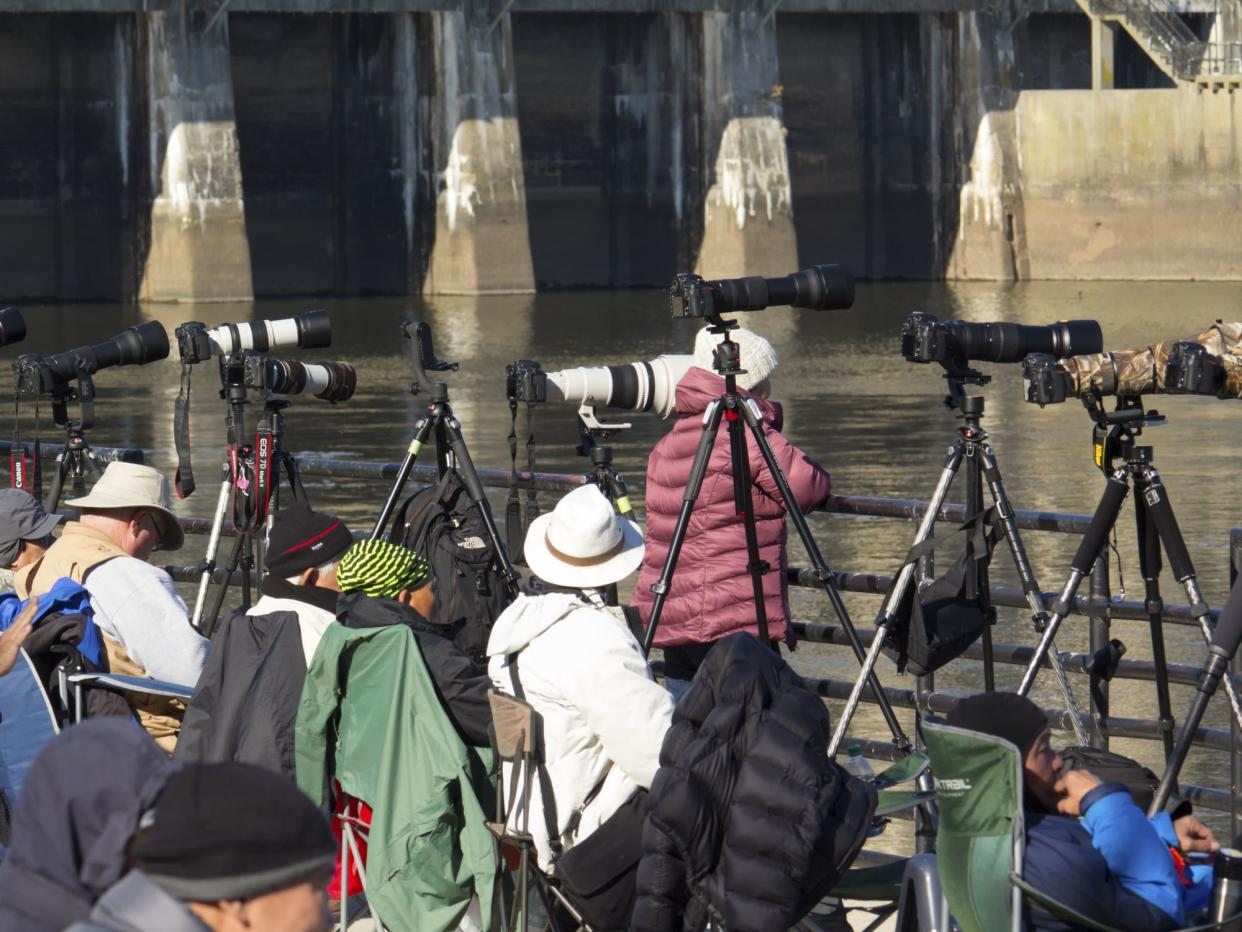 Conowingo, MD, United States - November 17, 2016: Wildlife photographers gather at Conowingo Dam on the Susquehanna River for annual bald eagle migration.