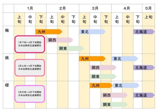 櫻花 梅花 桃花長超像 教你看懂3種花的差異 賞花景點7選 Yahoo奇摩汽車機車