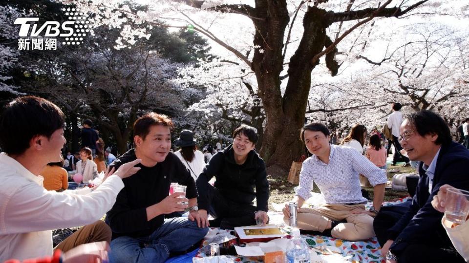 日本民眾坐在櫻花樹下野餐。（圖／達志影像路透社）