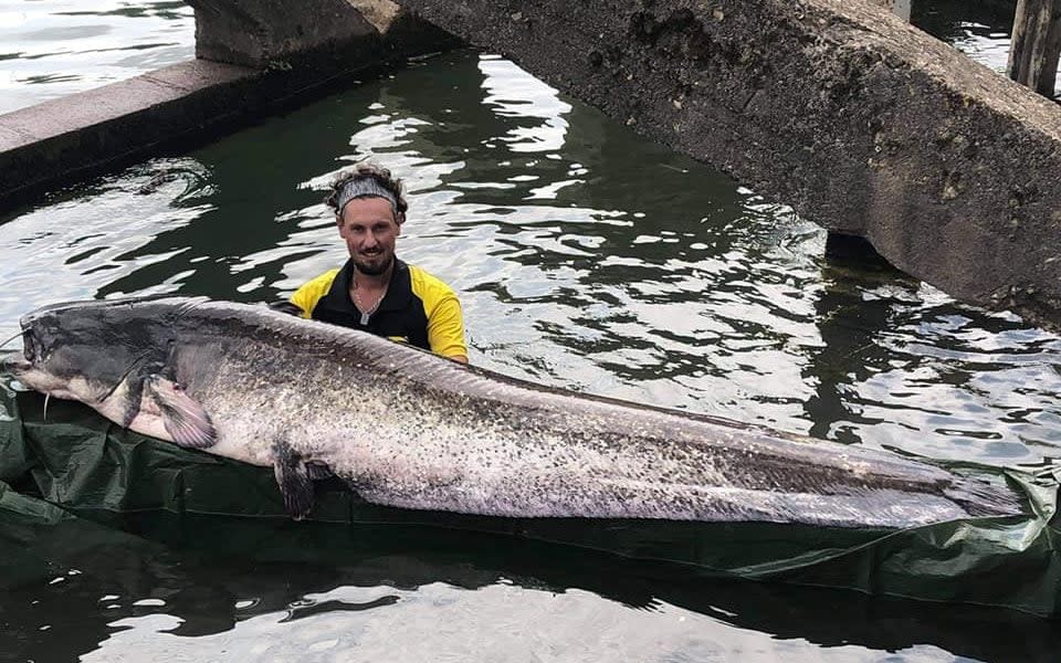 The giant fish measured over 8 feet long and weighed more than 200 pounds - Geoffrey Rulleau/Facebook
