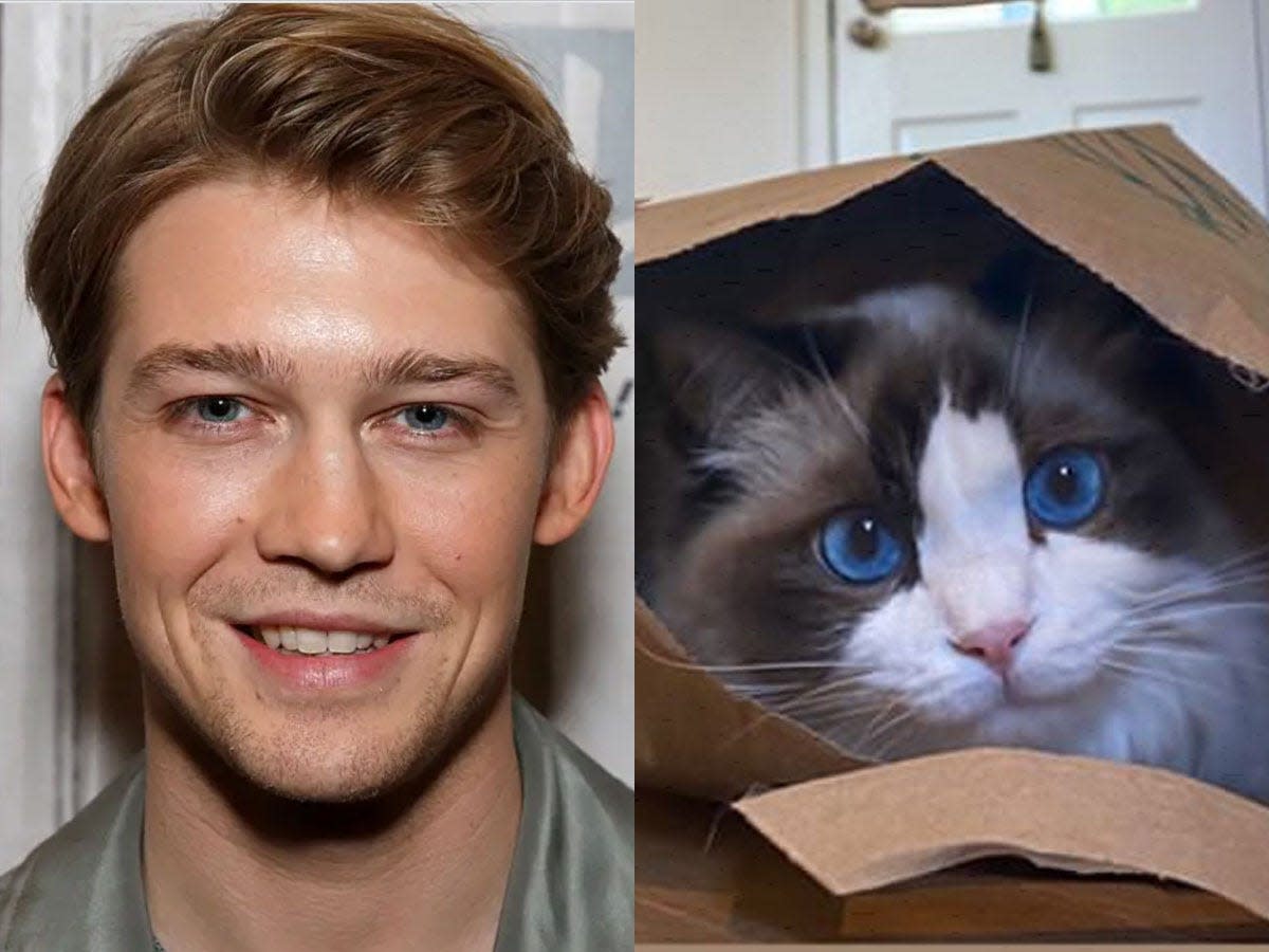 joe alwyn benjamin