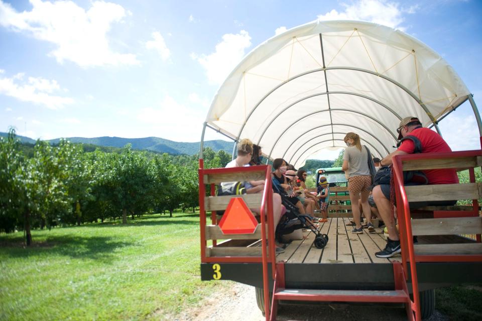 Visitors to Jeter Mountain Farm catch a ride on a covered wagon back to the main building after picking apples in the orchard during the 2020 Apple Festival.