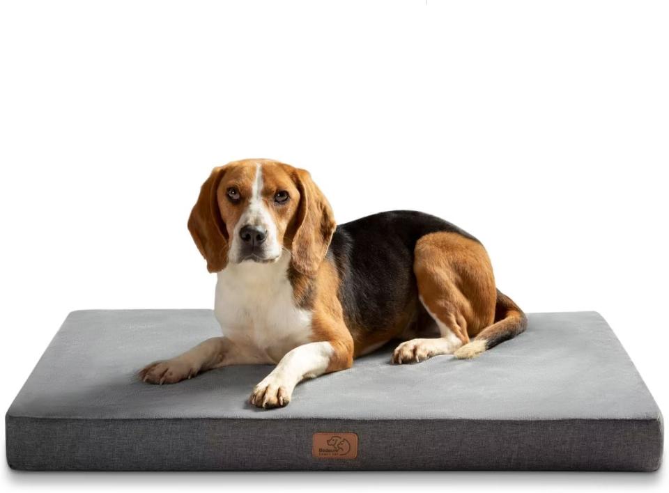 Bedsure - Orthopädisches Hundekissen. (Bild: Amazon)