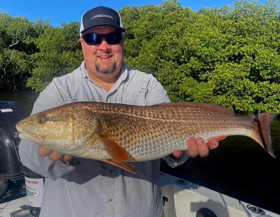 Josh Binford of Sarasota caught this 34-inch redfish on a live pinfish while fishing in Terra Ceia Bay with Capt. John Gunter this week.