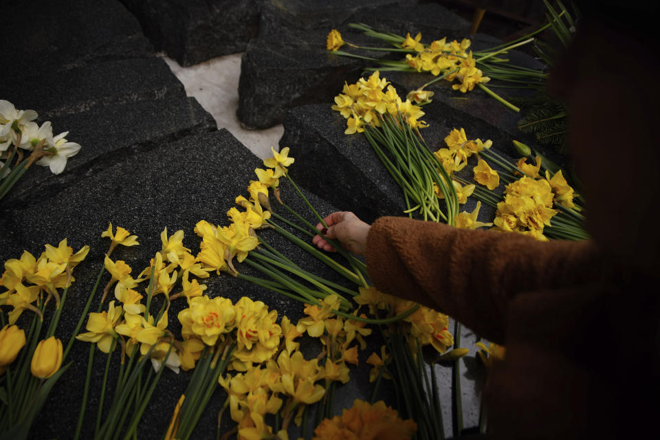 A woman places yellow tulips at The Monument to Szmul Zygielbojm during personal unofficial observances marking the 80th anniversary of the Warsaw Ghetto Uprising in Warsaw, Poland, Wednesday, April 19, 2023. (AP Photo/Michal Dyjuk)