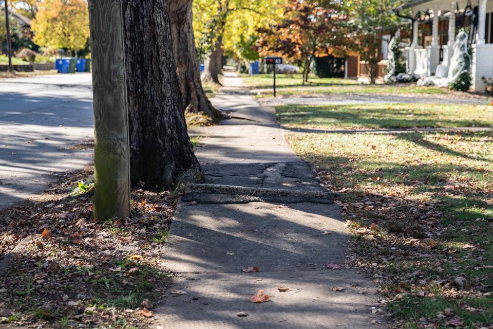 The Vermont Avenue Sidewalk Project could result in the removal of dozens of trees in the neighborhood.