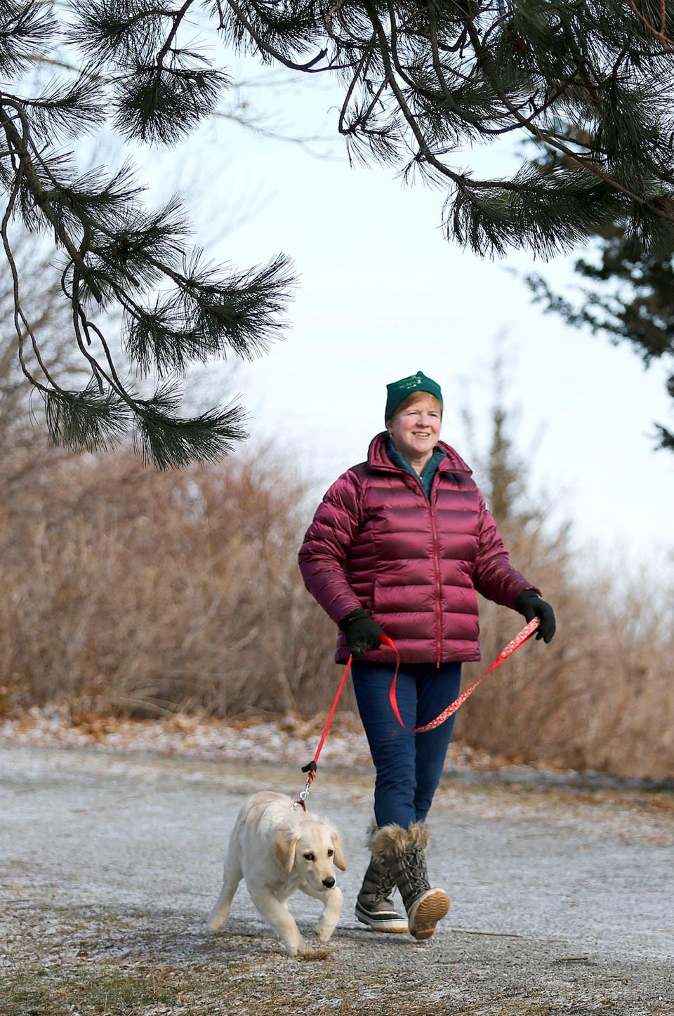 Maggi Brown, of Weymouth, with her new golden retriever puppy K.D., which she got when she retied as park supervisor in the Blue Hills Reservation. She was visitor services supervisor in the Blue Hills Reservation.