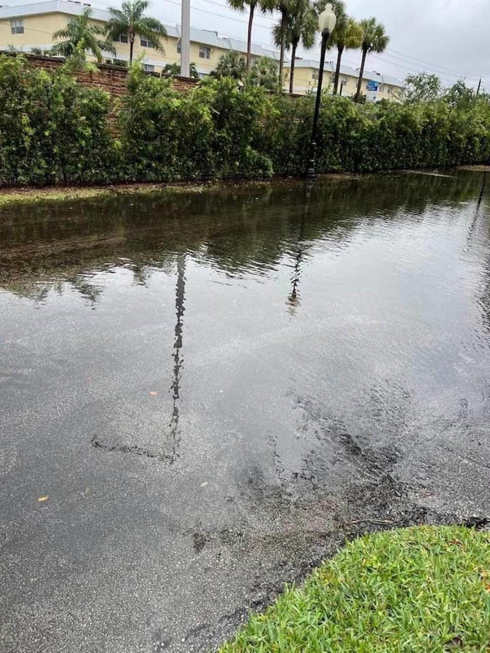 A flooded street in a Hollywood neighborhood near Sheridan Street.