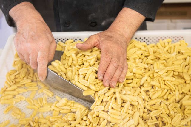 <p>Clay Williams</p> Cavatelli at Borgatti’s.