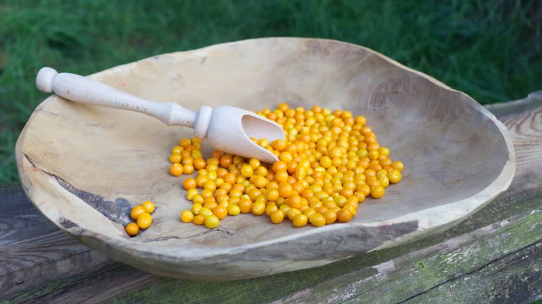 Dish of aji charapita peppers