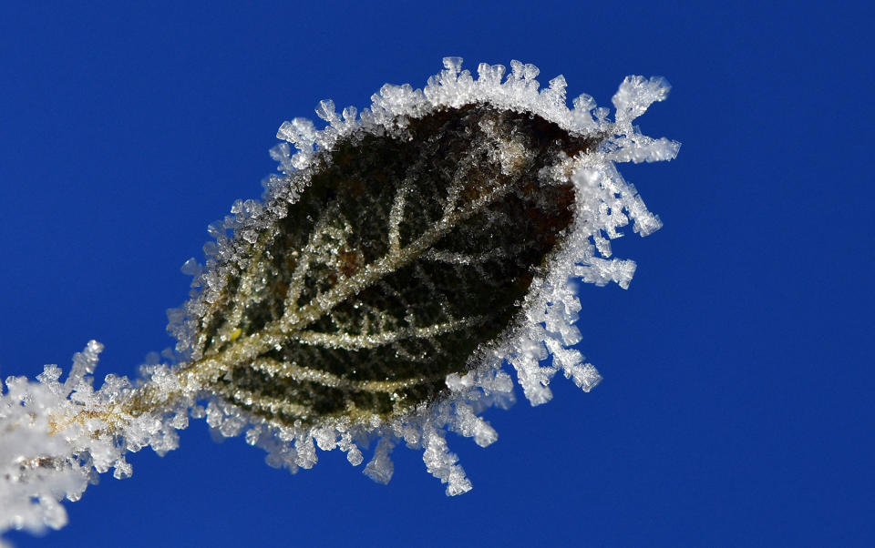 Morning frost in Stahnsdorf, Germany