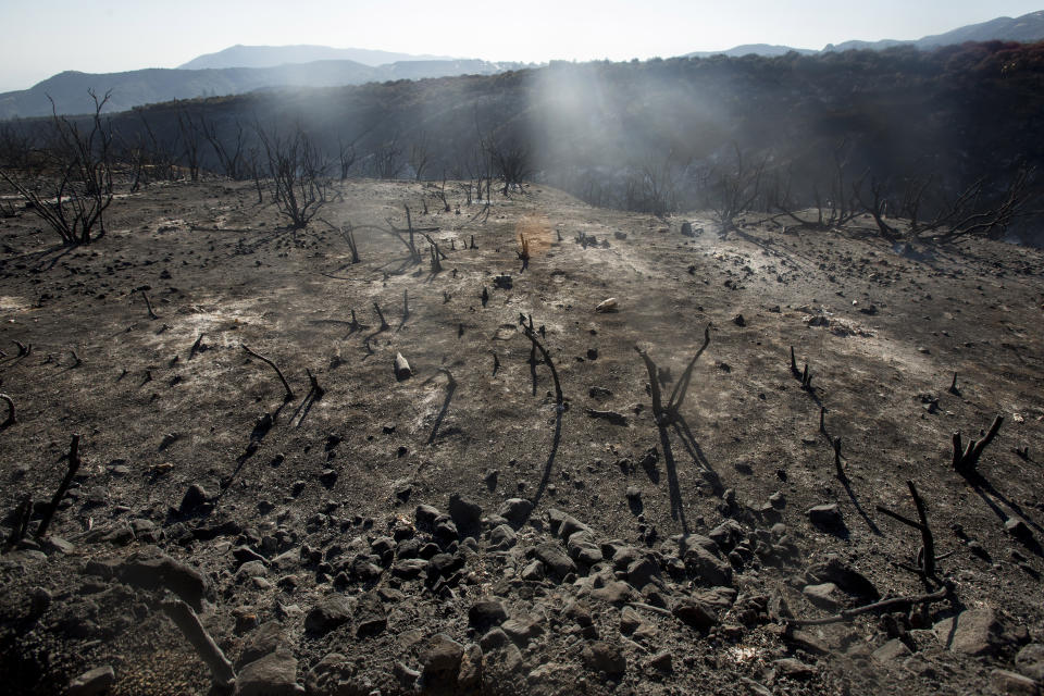 An area sits scorched by a brush fire at the Apple Fire in Cherry Valley, Calif., Saturday, Aug. 1, 2020. (AP Photo/Ringo H.W. Chiu)