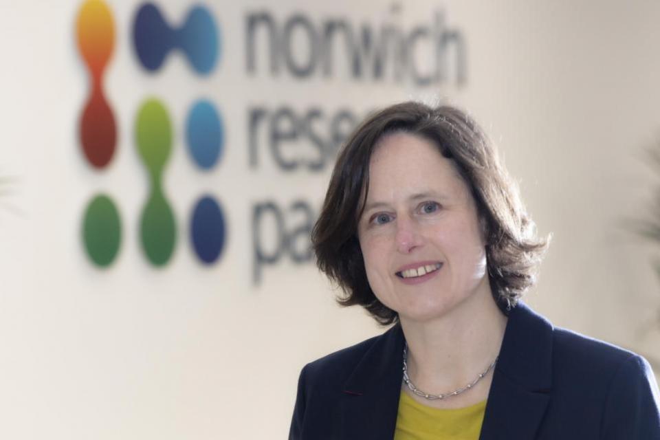 Eastern Daily Press: Roz Bird, CEO of Anglia Innovation Partnership