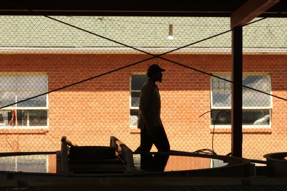 Travis Taylor, of the U.S Fish and Wildlife Service, walks under a covered raceway at Alchesay National Fish Hatchery.