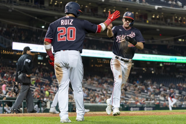 Joey Meneses' pinch-hit blast lifts Nats over White Sox