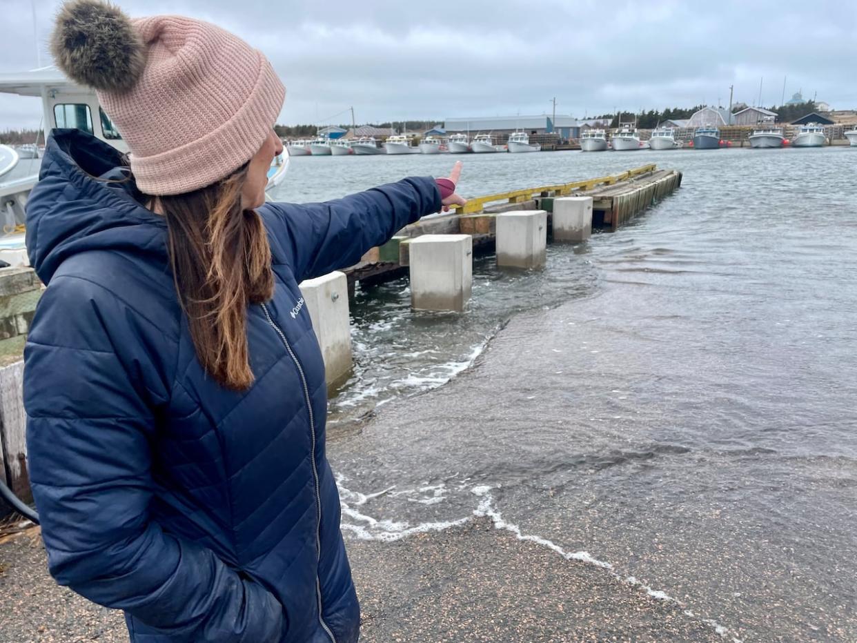 Shelley Deagle, the manager of the Naufrage Harbour Authority, says dredging has become particularly important since post-tropical storm Fiona hit P.E.I. in 2022.  (Steve Bruce/CBC - image credit)