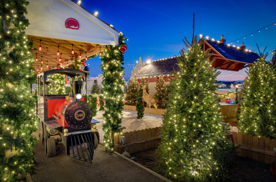 Take a ride on the new Schellville Express where you will be amazed by a tunnel of lights.