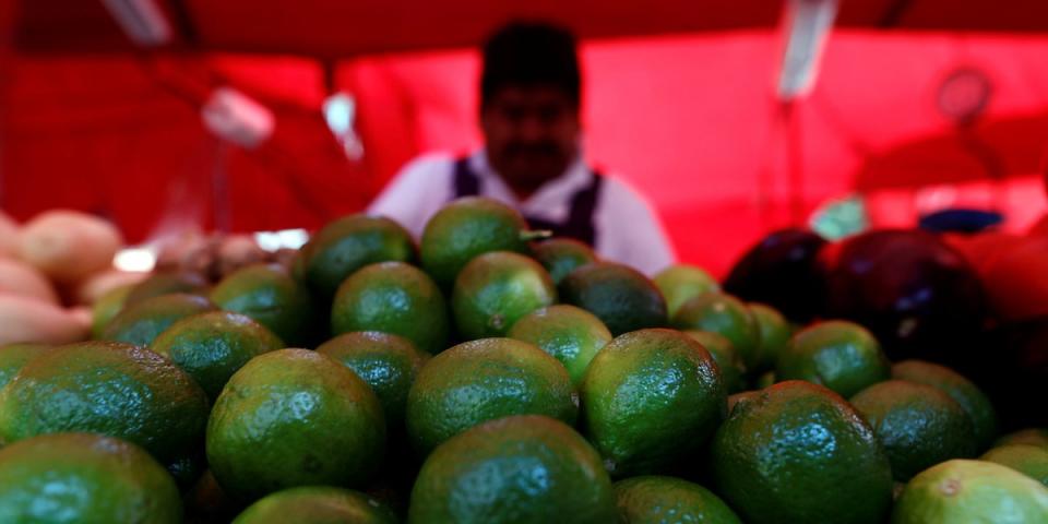 mexico avocado seller