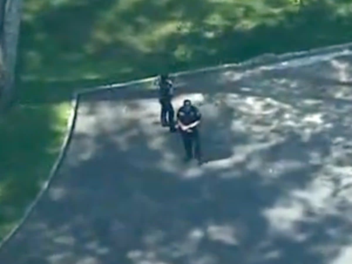 Police in Westchester County, New York, at the site where a bear reportedly attacked a 7-year-old child (screengrab/ABC7)