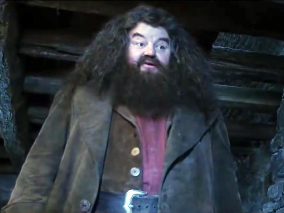 rubeus hagrid with harry potter in harry potter and the sorcerer's stone