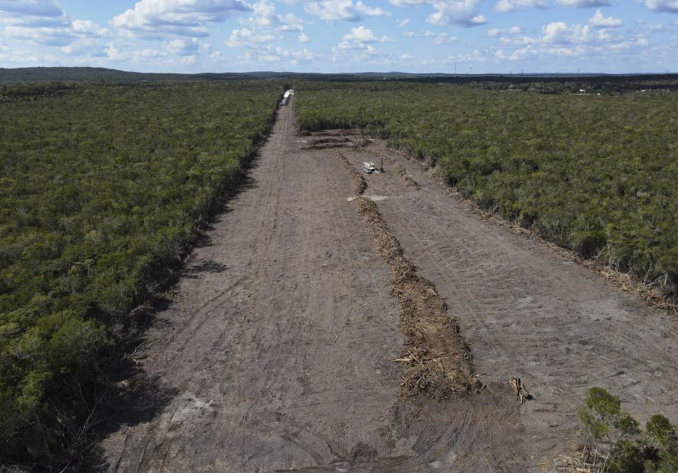 Trees have been cleared for the construction of a section of the Maya Train near the Calakmul Biosphere Reserve in the Yucatan Peninsula of Mexico, Tuesday, Jan. 10, 2023. The Maya Train is intended to drive economic development to some of the country's poorest areas, in part by bringing up to three million tourists each year. (AP Photo/Marco Ugarte)