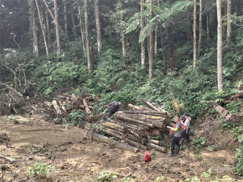 空拍面曝！茶莊經營不善　老闆「濫墾盜伐」300坪國有林地