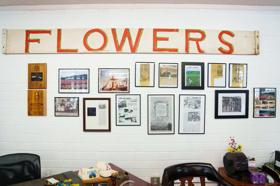 Awards, framed newspaper clippings and photographs hang on a wall at Baseline Flowers on Sept. 30, 2022, in Phoenix.