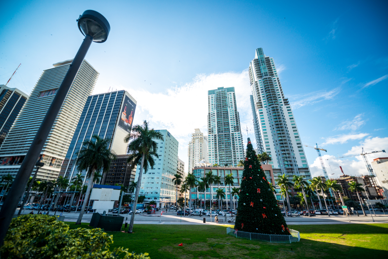 Christmas tree on Biscayne Boulevard in downtown Miami, surrounded by palm trees and tall buildings with cars and people in the background