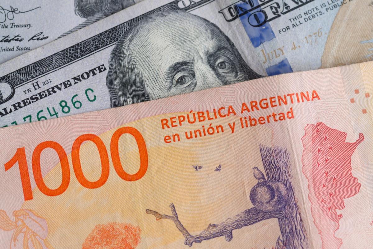 Dólar blue, dólar hoy: a cuánto cotiza este viernes 20 de enero