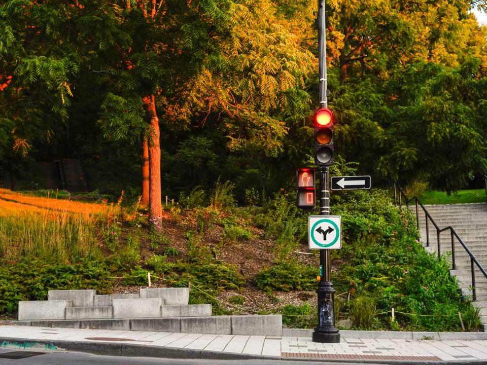 A park at sunrise in Montreal