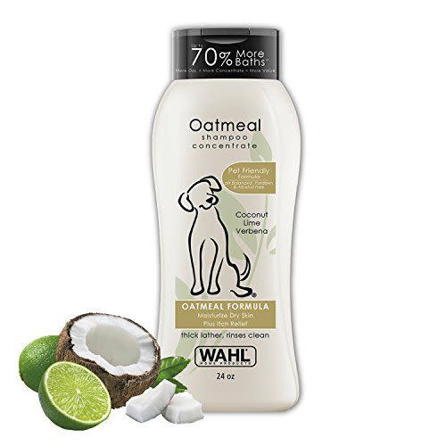 4) Dry Skin & Itch Relief Pet Shampoo for Dogs