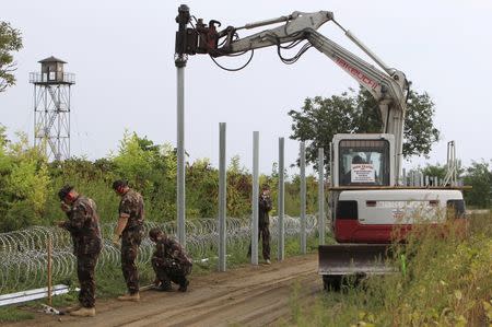 Hungarian army soldiers erect a fence on the border with Croatia near Sarok, Hungary, September 20, 2015. REUTERS/Bernadett Szabo