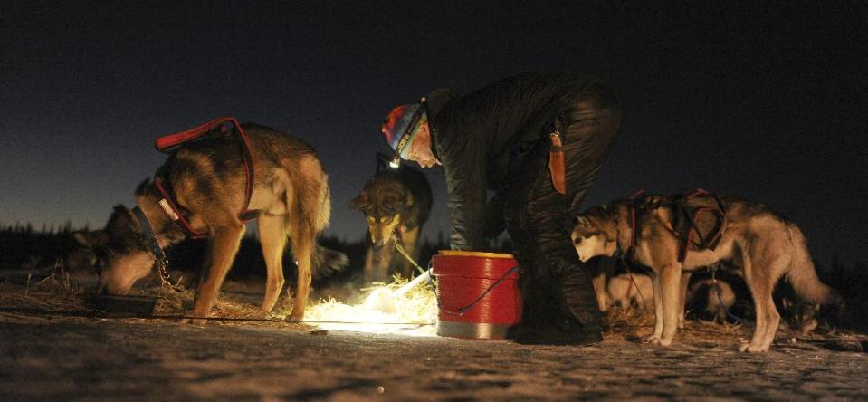 Mitch Seavey feeds his team at the Finger Lake checkpoint during the 2014 Iditarod Trail Sled Dog Race on Monday, March 3, 2014, near Wasilla, Alaska. (AP Photo/The Anchorage Daily News, Bob Hallinen)