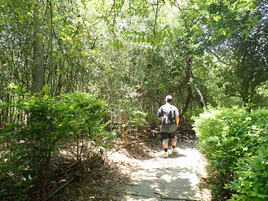 苗栗老崎古道（頭份後花園步道）